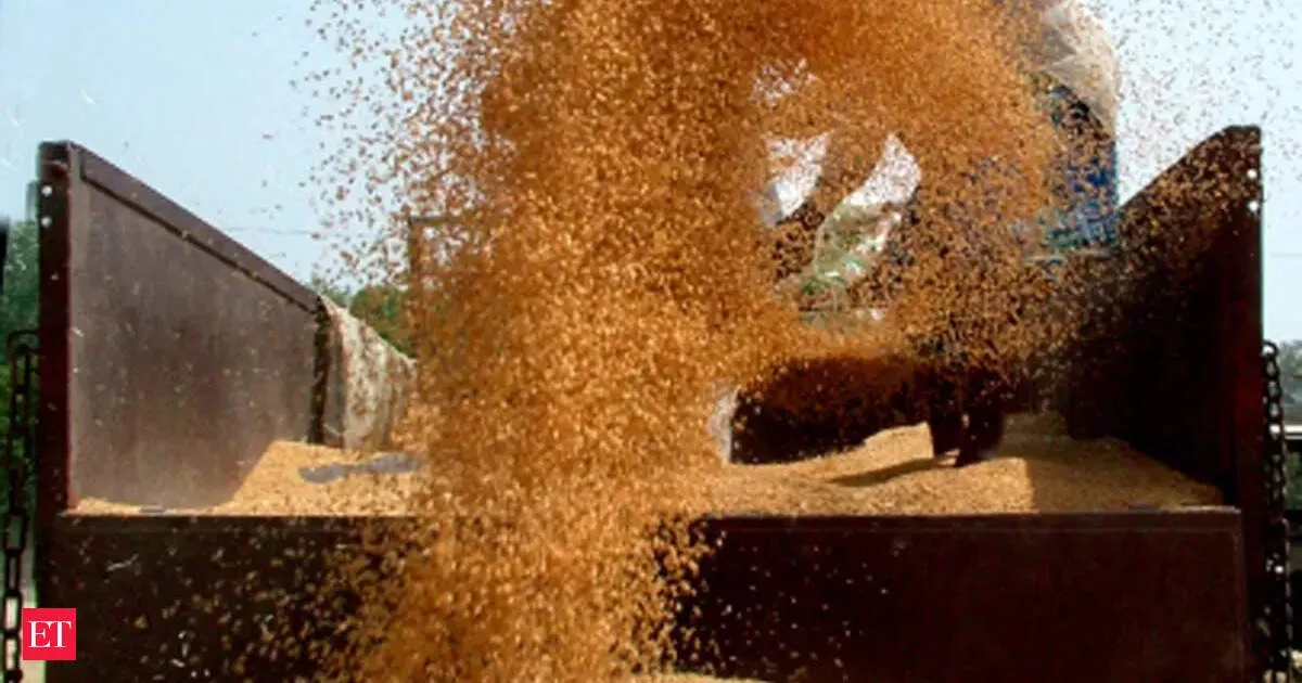 India restarts wheat exports after four year freeze as bumper harvest turns tides