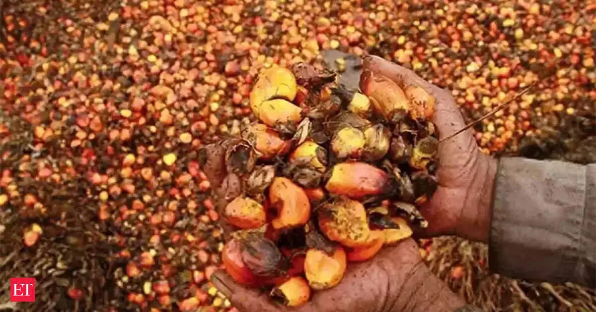 India palm oil imports slump 27% to one year low on weak demand and rivals