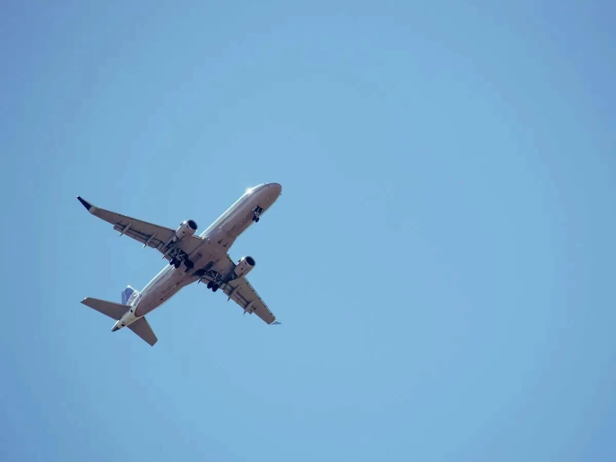 Germany France Belgium Ireland Netherlands rush planes to evacuate cruise passengers in hantavirus scare