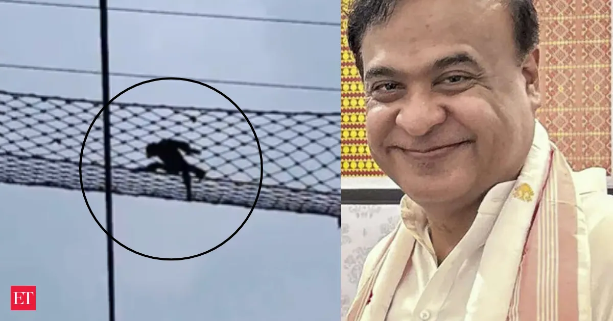India’s only ape safely crosses Assam railway on special canopy bridge after nearly a year
