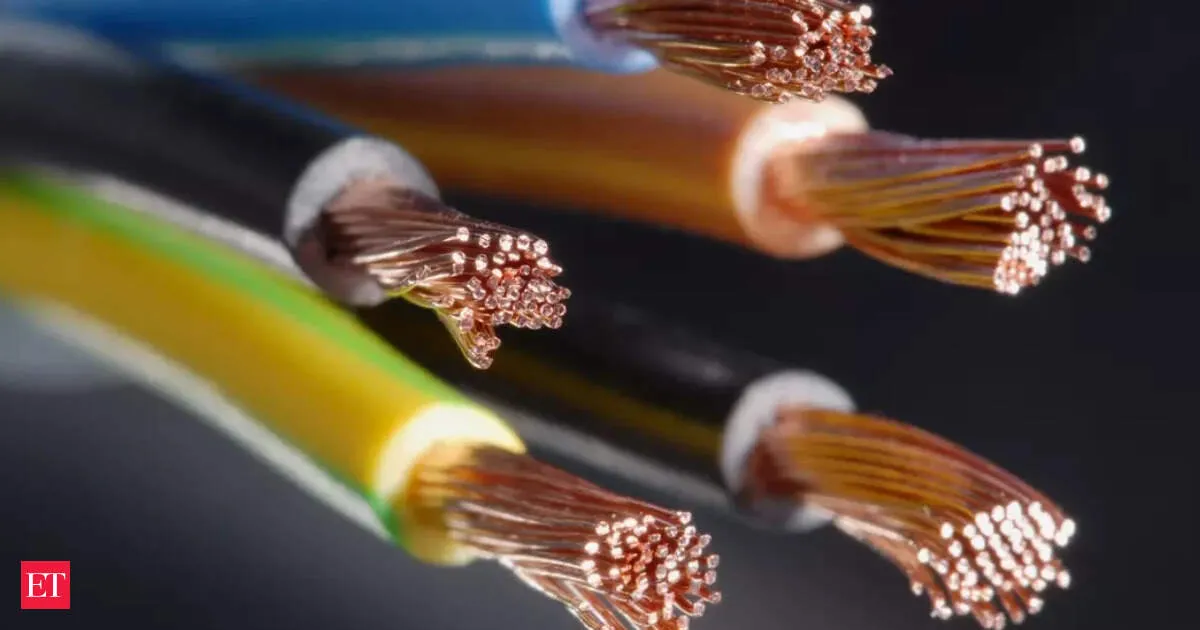 Finolex Cables eyes Assam expansion as electrification and infra spending accelerate demand