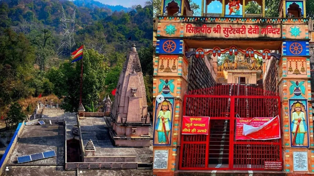 Uttarakhand temple wedding inside Rajaji tiger reserve sparks probe over wildlife rules