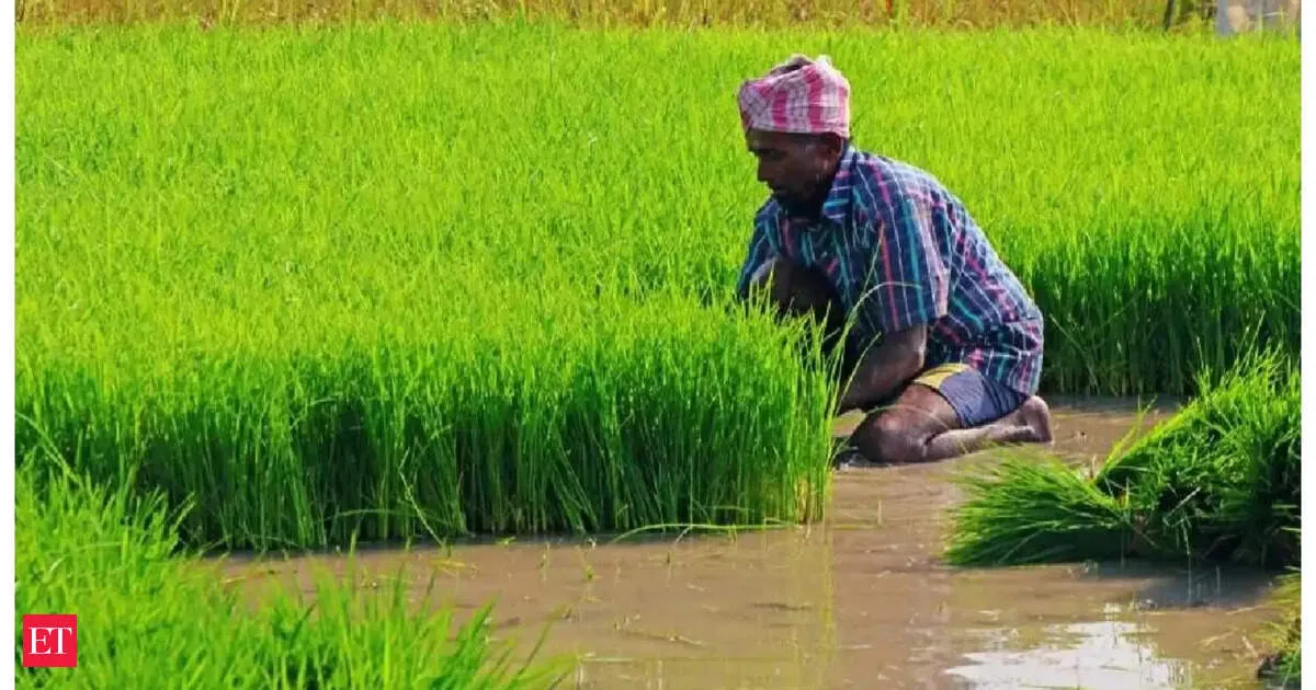 India agriculture exports to hit USD 52.55 billion in 2025 26