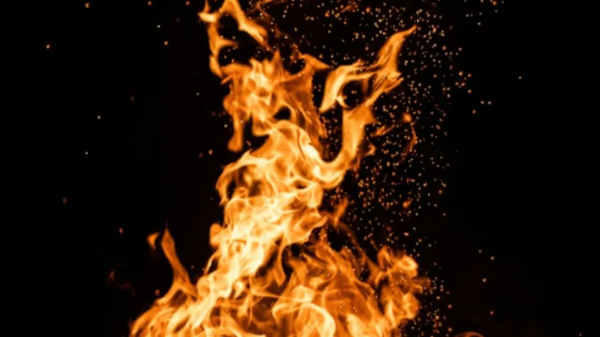RBI Delhi HQ hit by fire after solar panels catch fire six tenders rush to Parliament Street