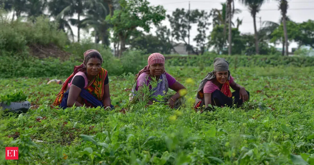 Study flags why FPOs struggle to help smallholders with finance market and governance gaps