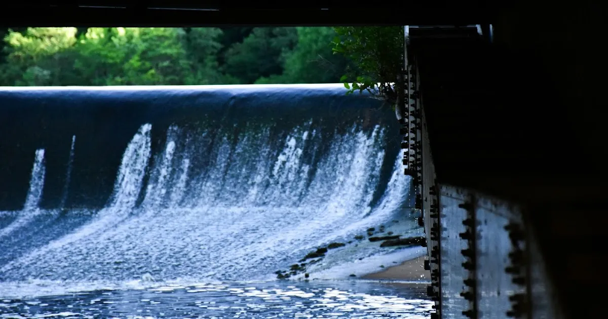 Tata Power joins World Bank to fund Bhutan Dorjilung hydro project worth 515 million