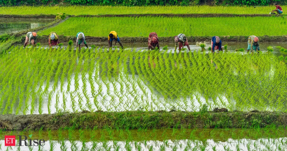 Gadkari says farmers can become energy providers but cold storage crunch could crush prices