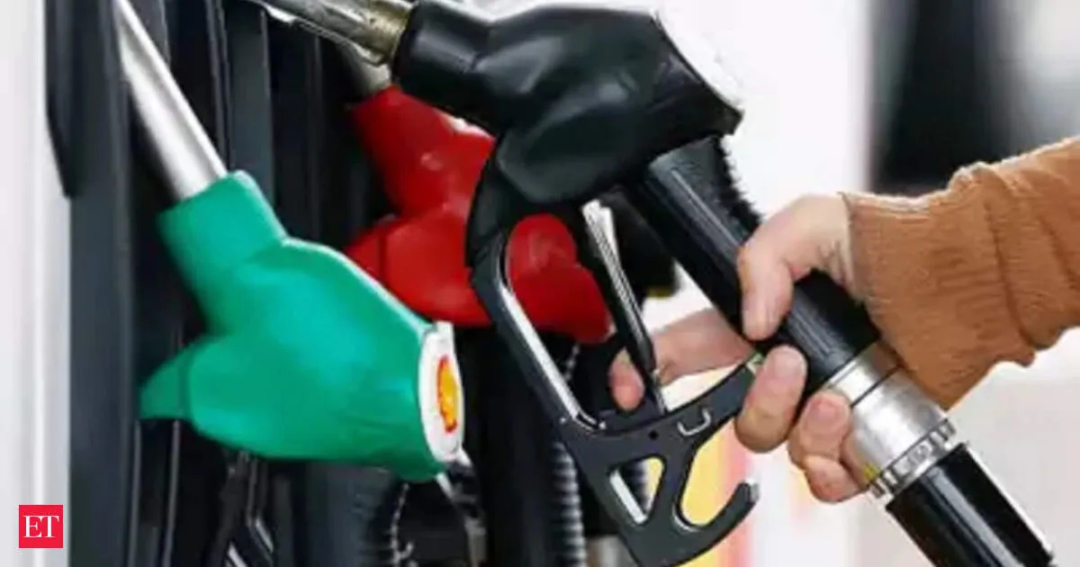 Karnataka fuel supplies steady as oil firms warn against panic buying and hoarding