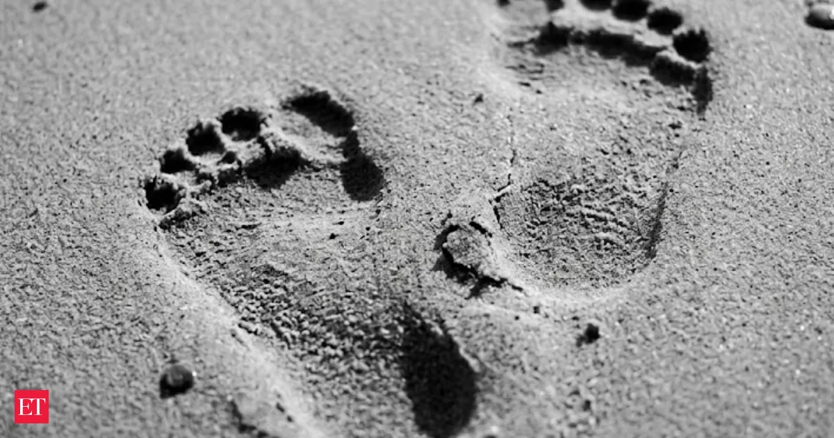 115000 Year Old Human Footprints Found in Saudi Desert Upend Migration Assumptions