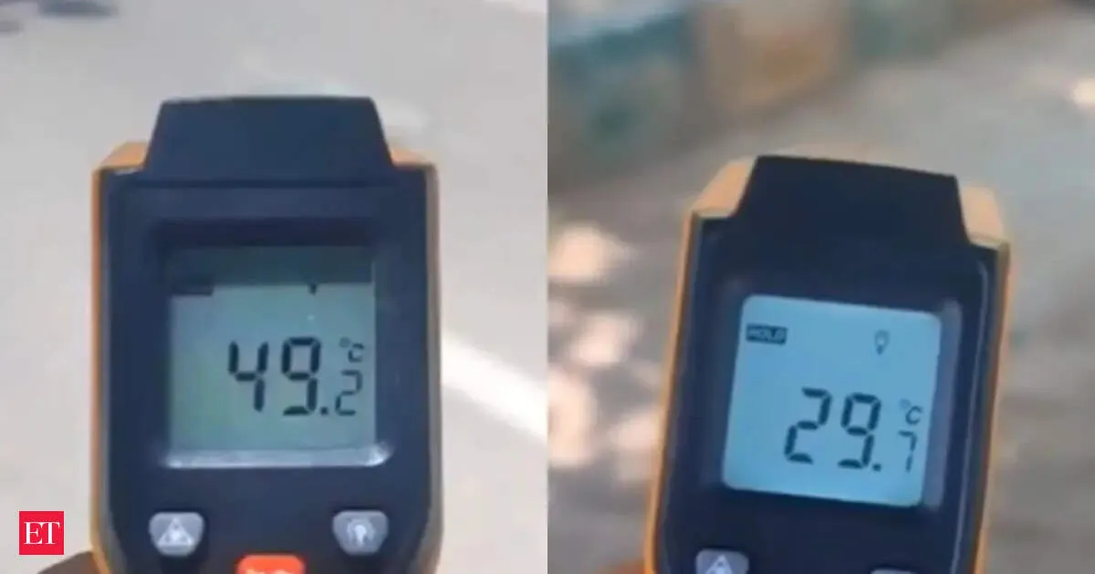 Noida man shows shocking heat gap between road and tree shade during Delhi NCR heatwave