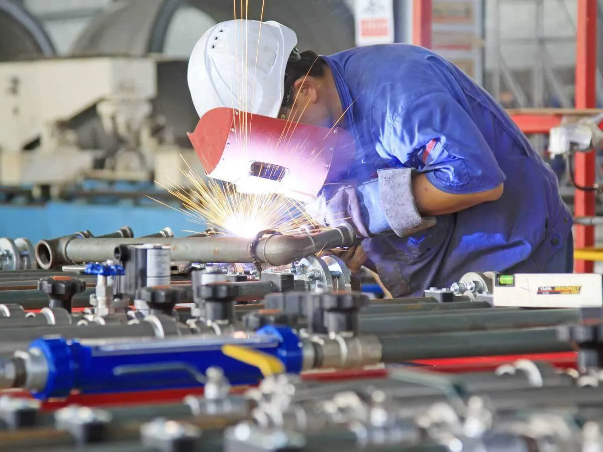 September IIP slips as weak capital goods output drags industrial growth