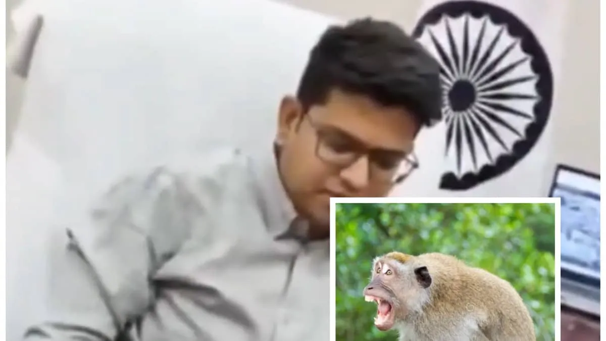 DM on phone during monkey attack complaint sparks outrage in Uttar Pradesh