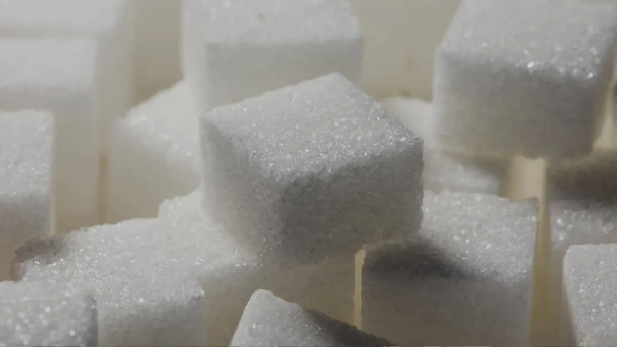 India Bans Sugar Exports Until 2026 Sugar Stocks Plunge as Traders Reprice Supply