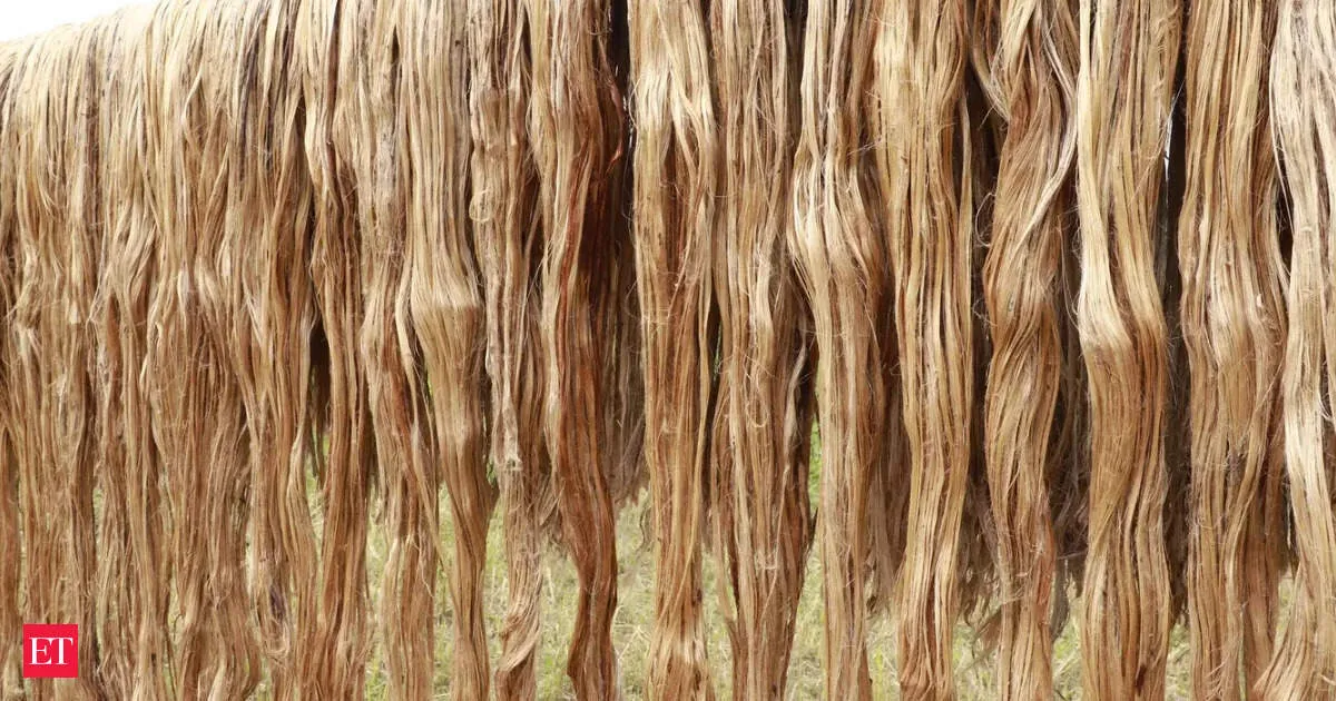 Government sets raw jute trader stock limits to zero to curb hoarding