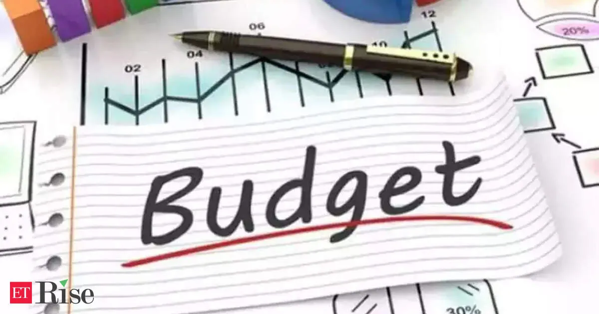 IMF chief praises India budget focus on digitalisation and human capital investment