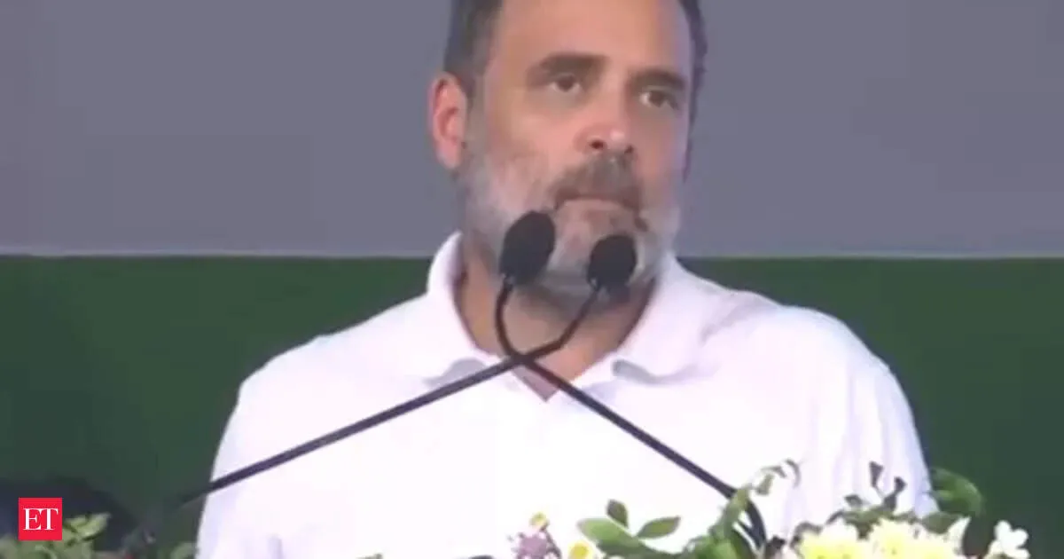 Rahul Gandhi alleges BJP built a system to steal elections in key states