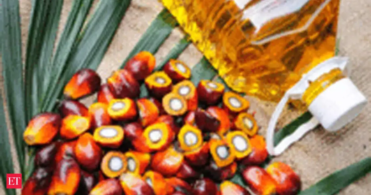 Government says no edible oil subsidy plan now as prices soar for consumers