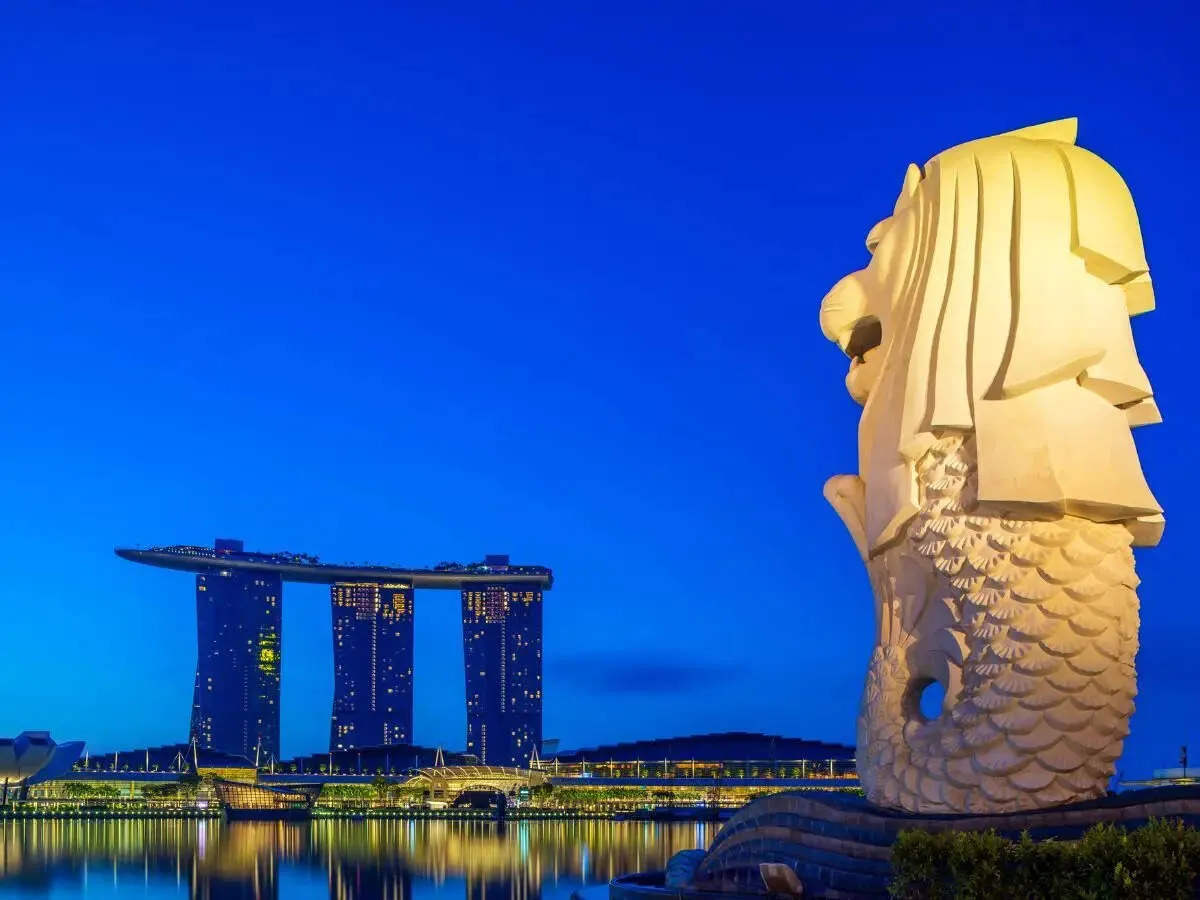 VFS Global adds Singapore visa centres in Chandigarh and Chennai for faster applications