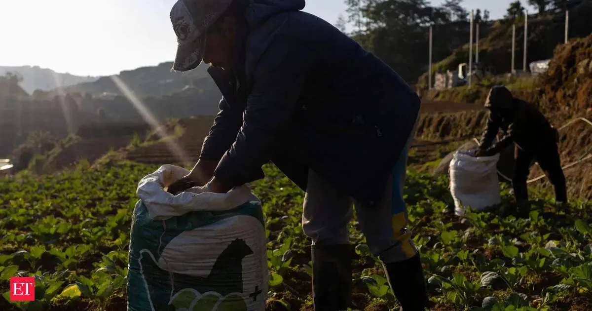 India fertiliser output plunges nearly a quarter as Middle East war disrupts gas supplies