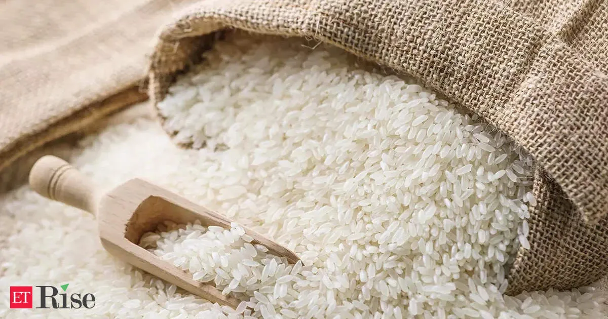 Asia Rice Markets: India exports steady as Vietnam and Thailand prices climb