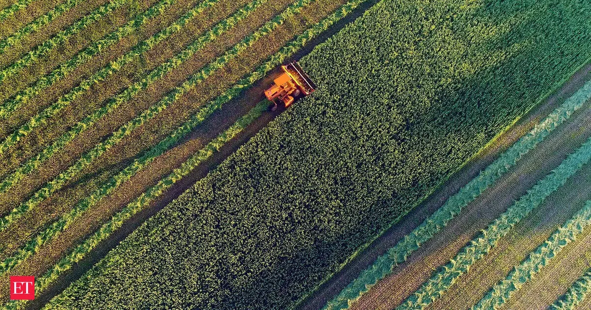 Indore to host BRICS agriculture ministers in June for food security talks