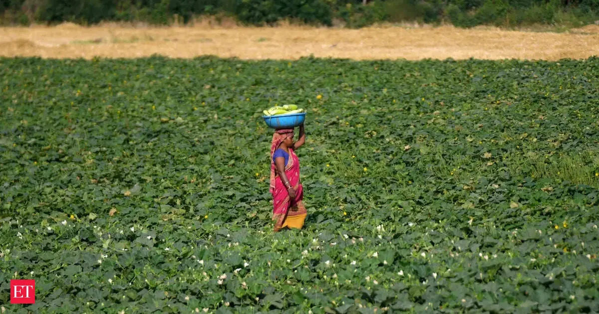 India labour market shifts away from farm jobs as workforce retools for new work
