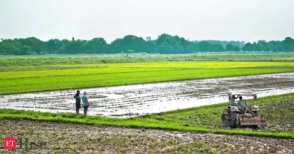 Gulf shipping standoff makes farm inputs scarce and unaffordable for small farmers worldwide