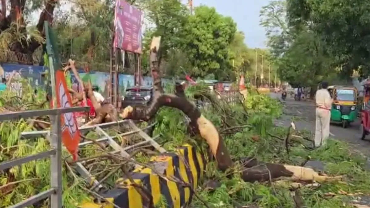 Severe storm strikes Patna leaving three dead and five injured as services scramble to recover