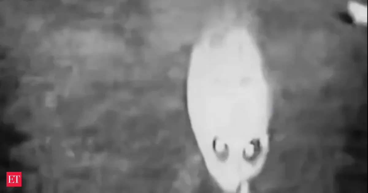 Trump administration declassifies 170 UFO files including Moon photos and Apollo transcripts