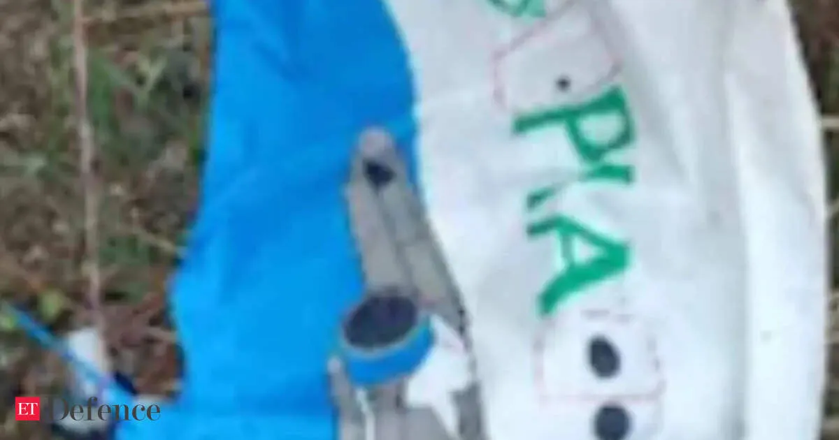 Pakistan flag balloon found in Himachal village as police investigate second similar case