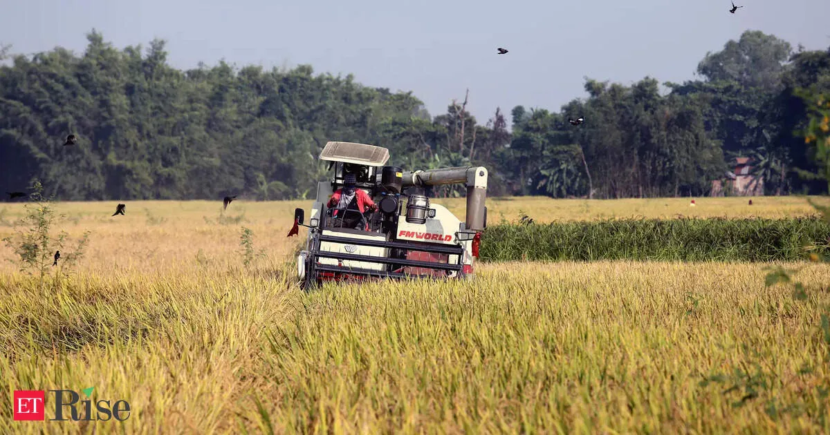 Global fertilizer scramble grows as urea and phosphate prices spike and food security fears mount