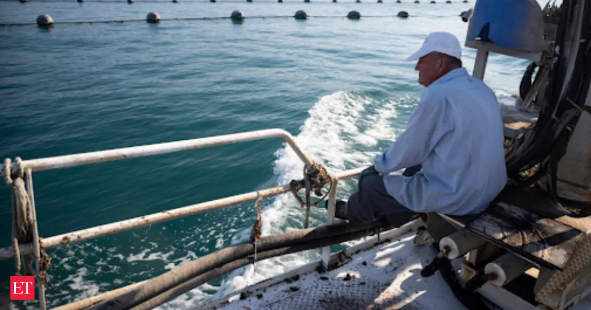 Bulgarian mussel farmers gamble on cooler depths as Black Sea warms