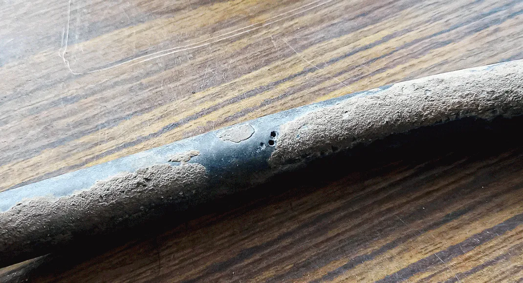 Boozy beetles may be fueling car fire fears after ethanol use study in Kerala