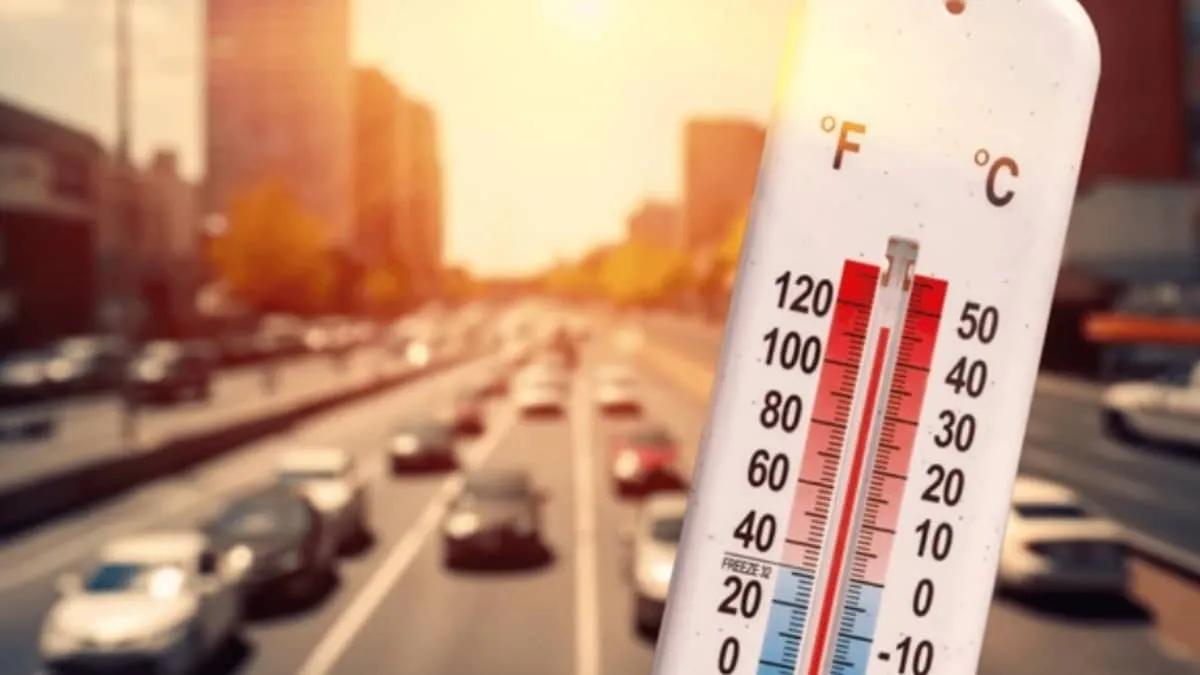 Jaisalmer Heatwave Turns Streets Silent as Camels Seek Ponds at 46C