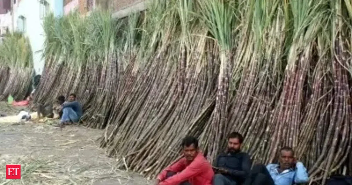 Rs 10 sugarcane FRP hike sparks farmer anger and arrears fears for mills