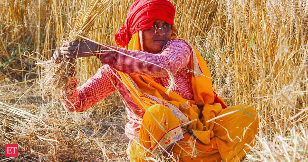 India released 2996 climate resilient crop varieties in a decade to protect farmers from shocks