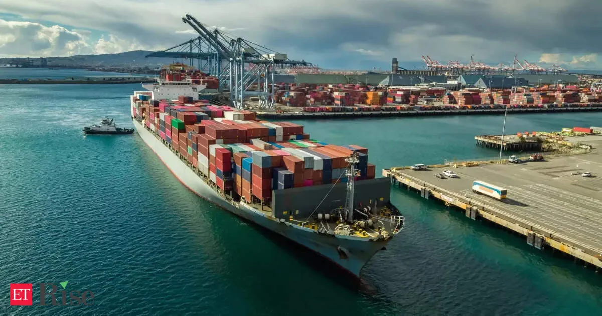 Duty relief for SEZs lets limited domestic sales protect export jobs amid weak demand