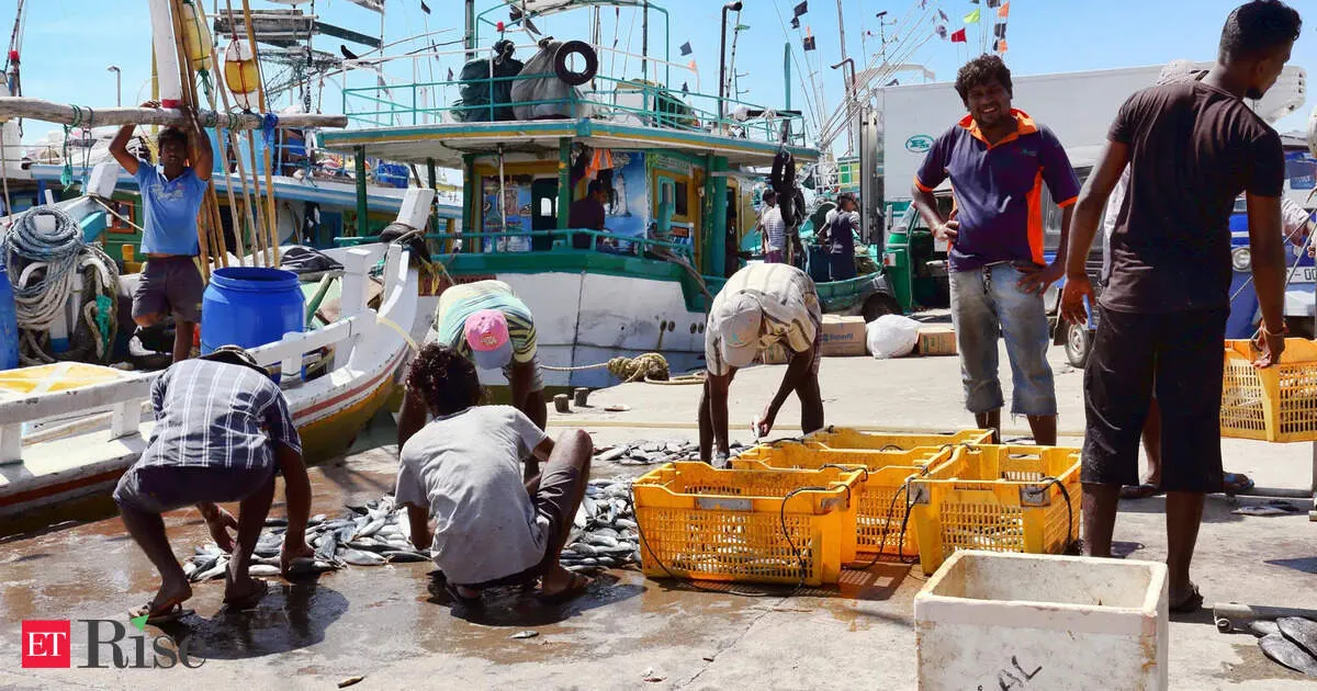 Iran war could wipe out Rs 1500 crore for Indian seafood exporters