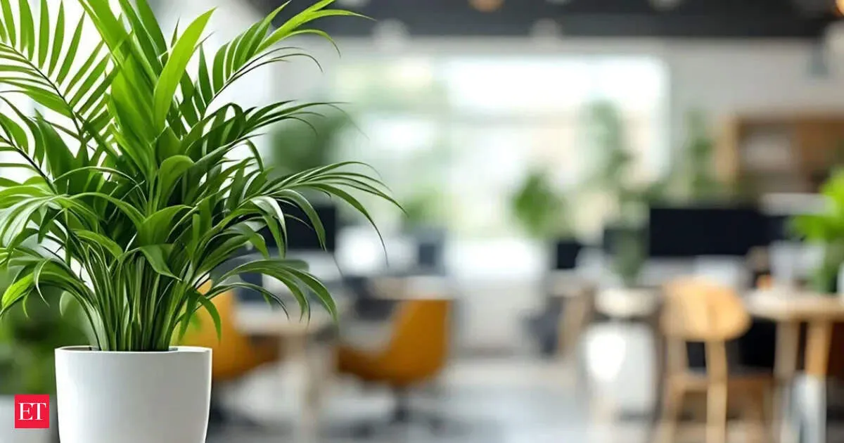 India flexible workspace capacity to jump 18 percent on GCC driven startup demand Crisil