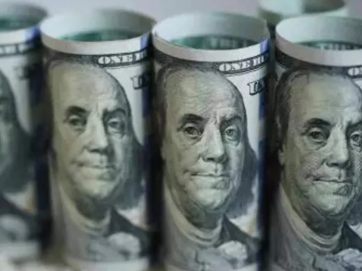 RBI data shows India net foreign liabilities fell sharply in 2025 as overseas buying surged