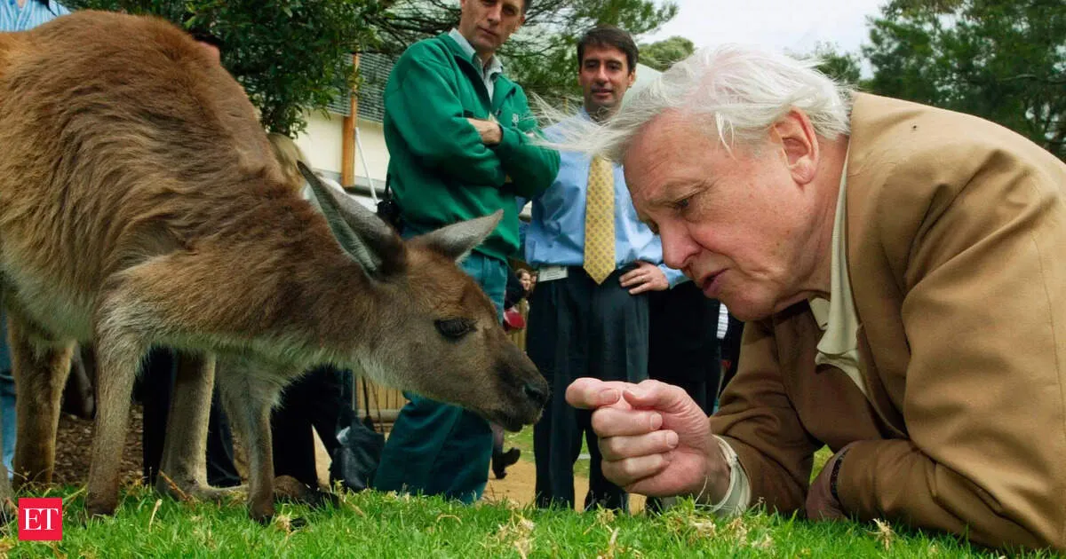David Attenborough turns 100 and still fights for Earth’s future