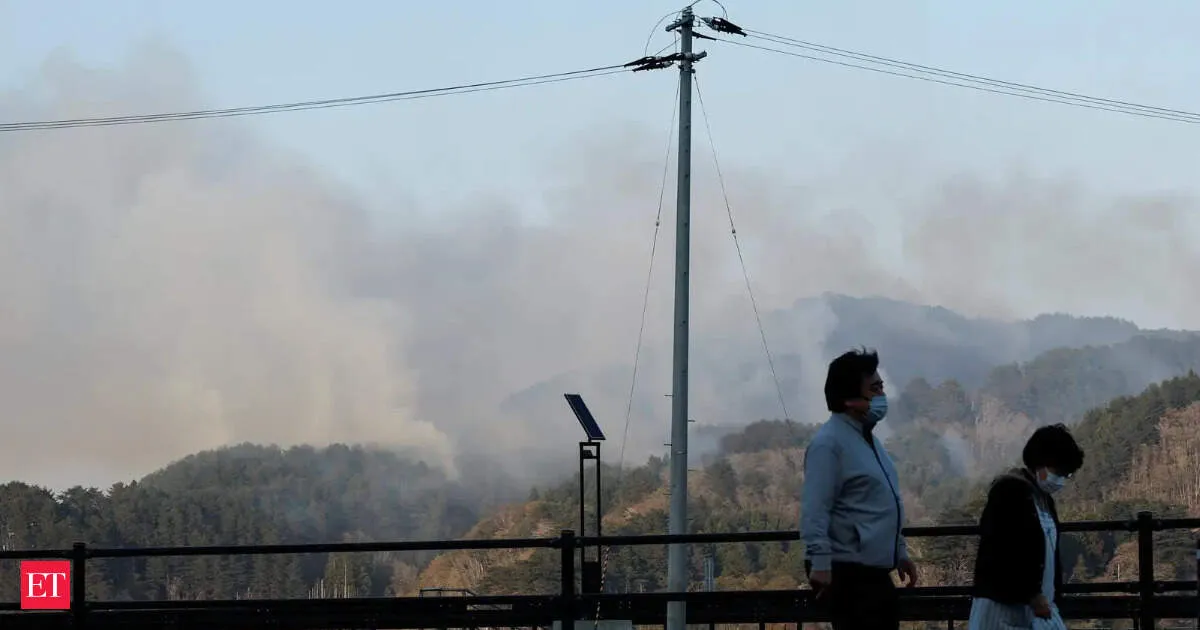 Japan finally contains major wildfire after 11 day fight leaving thousands evacuated