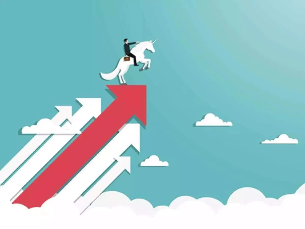 Skyroot and KreditBee join unicorn club as India startups surge past billion dollar valuations