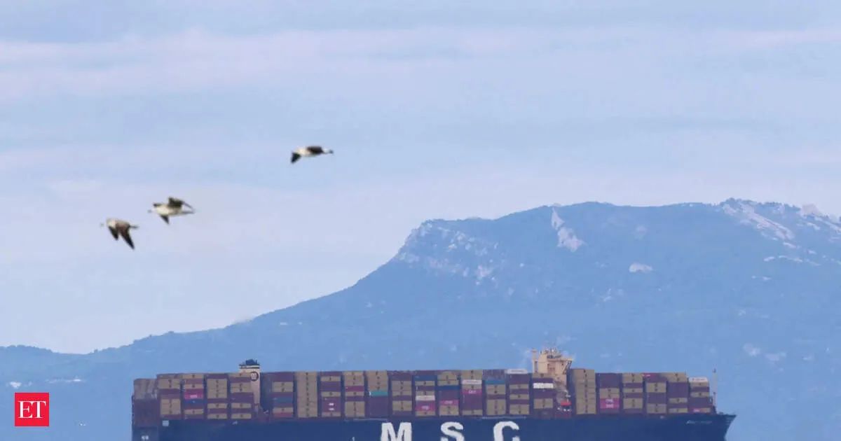 MSC to reroute Europe Middle East trade by avoiding Hormuz with mixed transport links