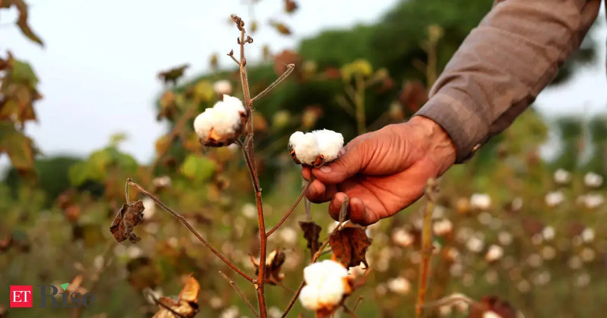 Vijay demands duty free cotton as Tamil Nadu textiles face export crisis and job risks