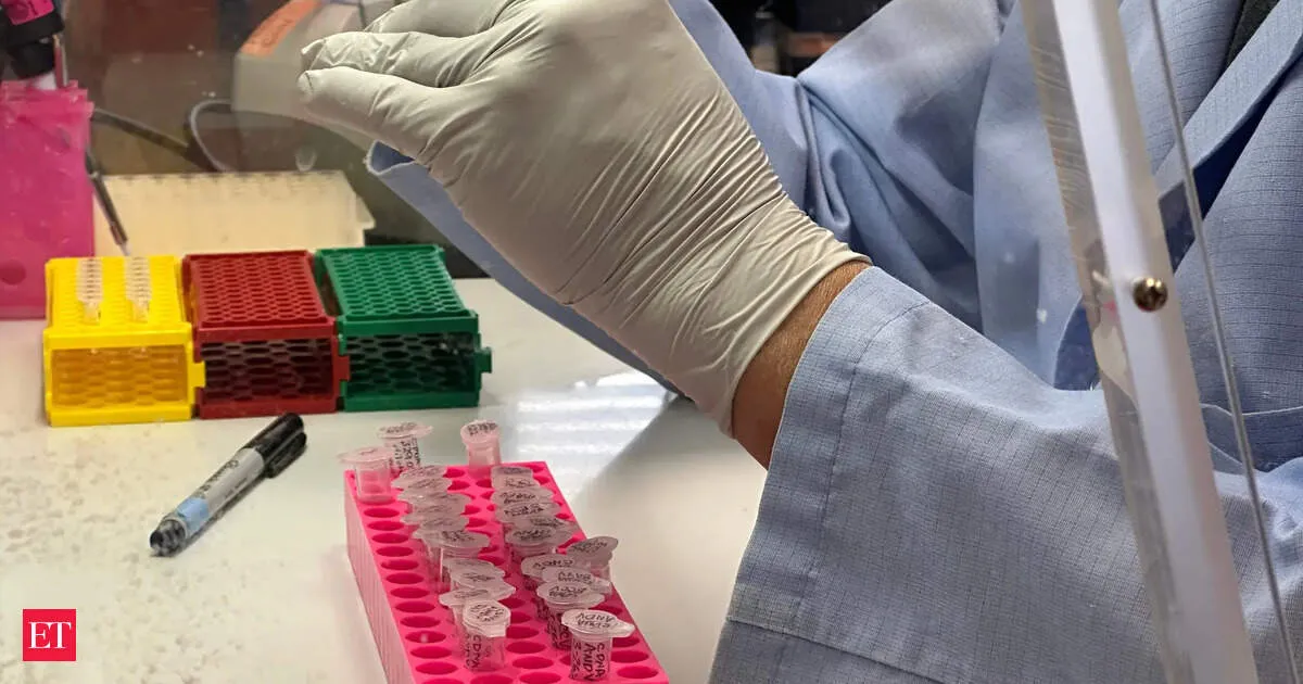 US repatriates test mildly positive for Andes hantavirus after cruise outbreak