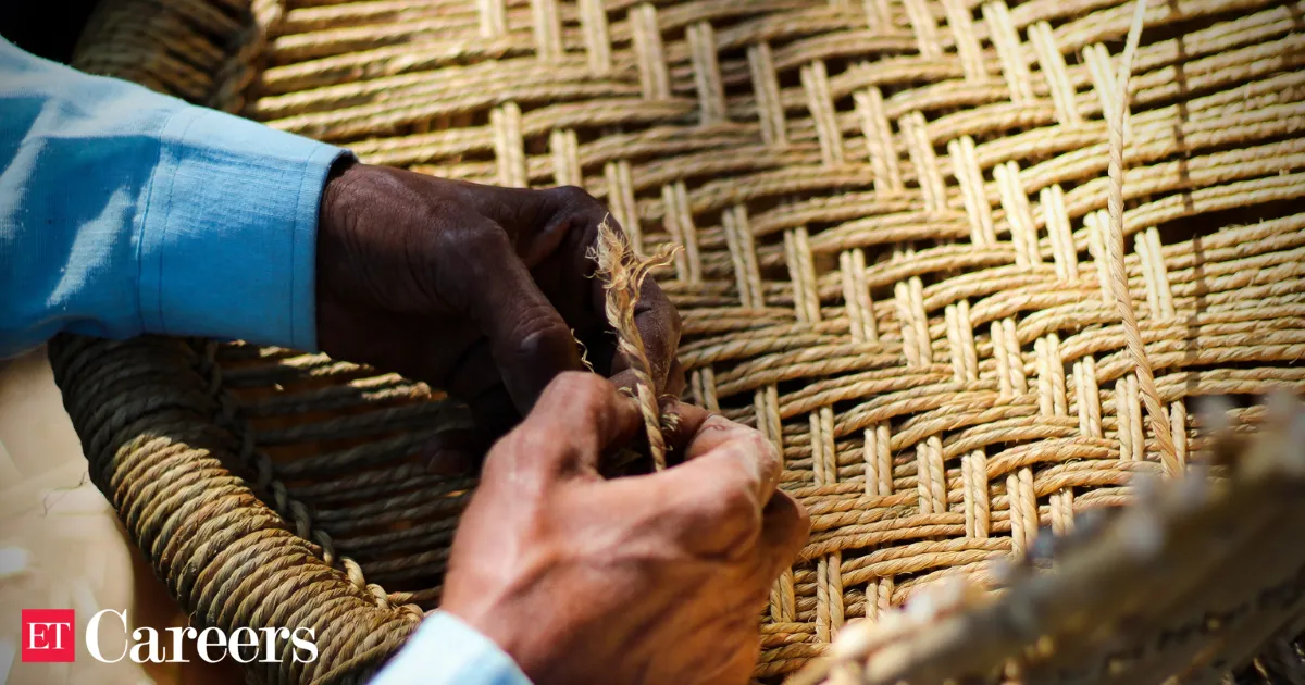 Maharashtra cabinet clears bamboo policy promising 5 lakh jobs and Rs 50000 crore investment