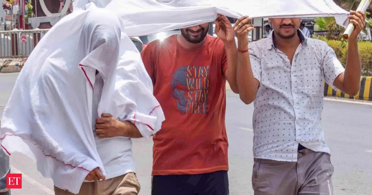 Heat wave to continue across northwest and central India for three days IMD issues alert