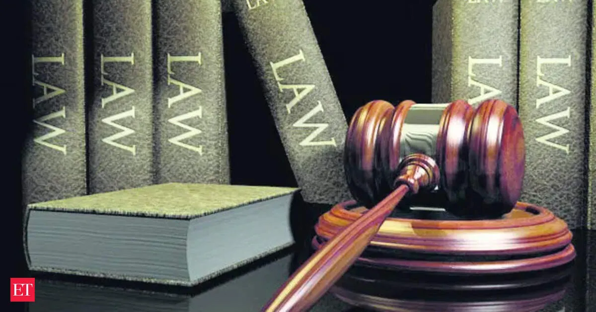 Delhi High Court rules company income cannot be taxed in shareholders hands